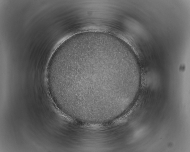 X0000099521074200806121457