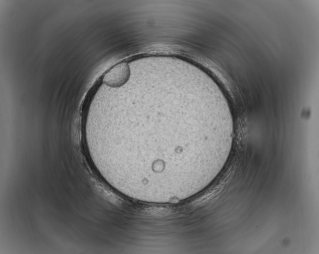 X0000099521075200806121457