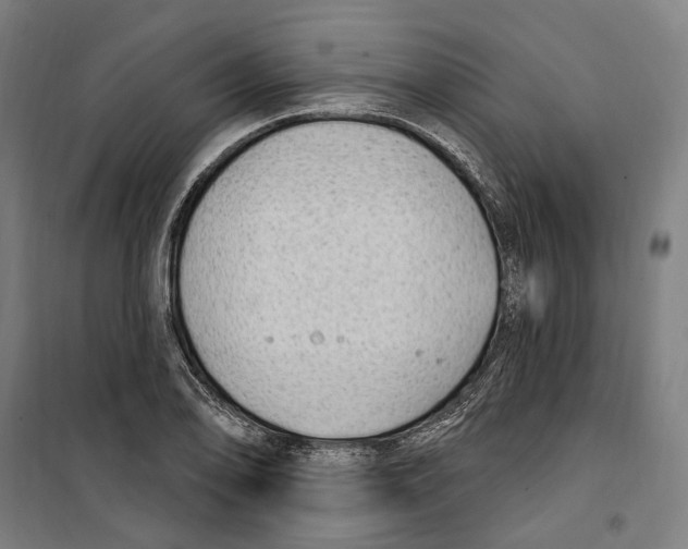 X0000099521078200806121457