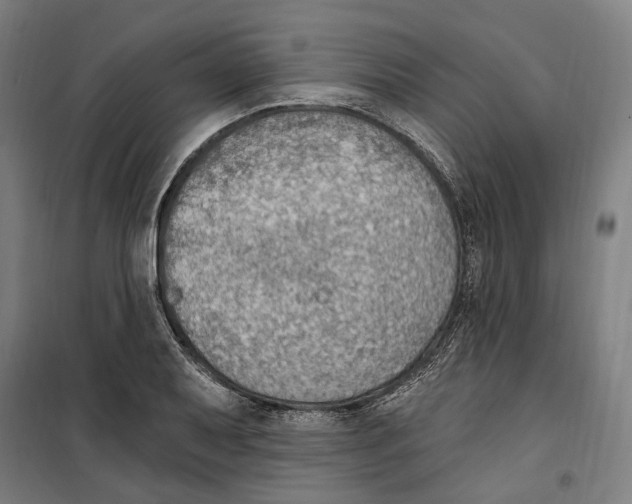 X0000099521079200806121457