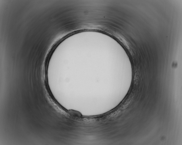 X0000099521080200806121457