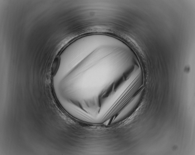 X0000099521081200806121457