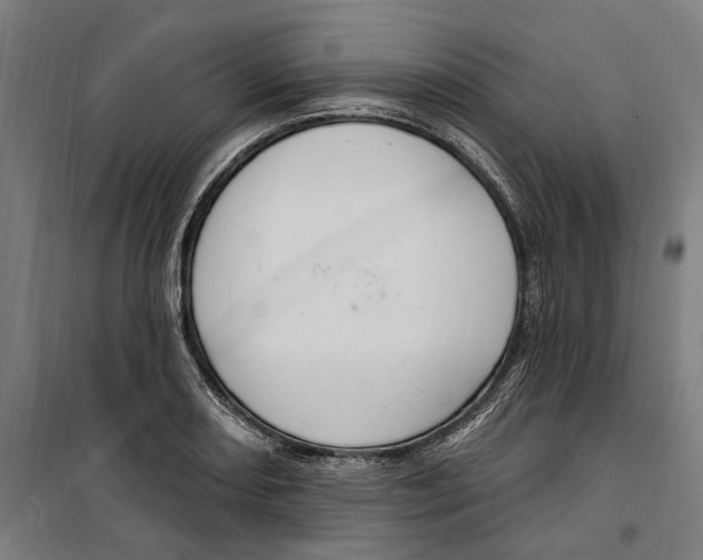 X0000099521082200806121457