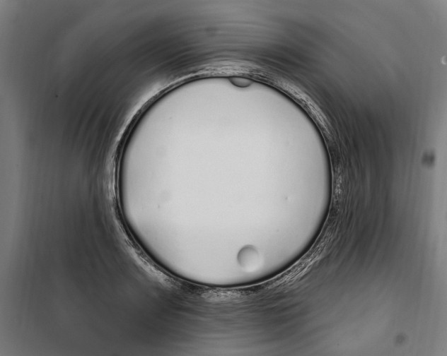 X0000099521083200806121457