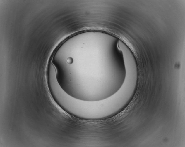 X0000099521084200806121457