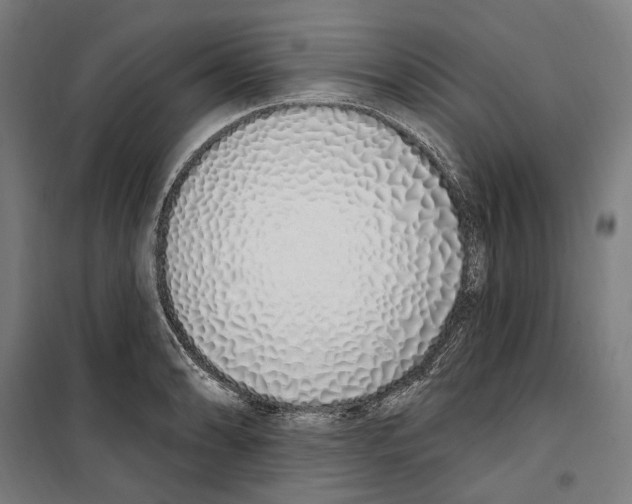 X0000099521086200806121457