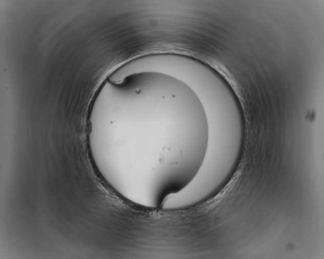 X0000099521089200806121457