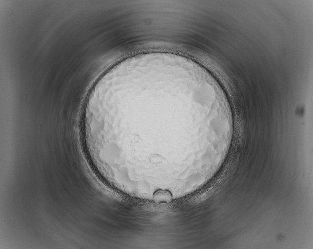 X0000099521090200806121457