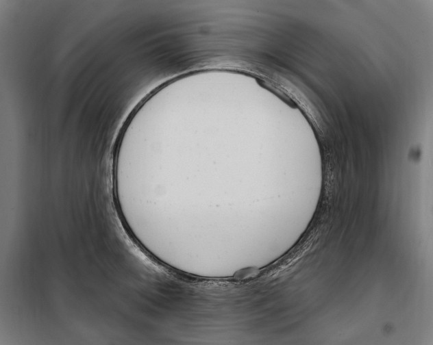 X0000099521092200806121457