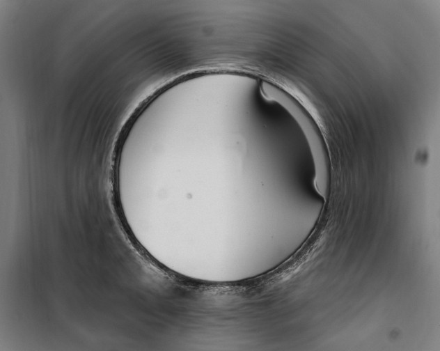 X0000099521093200806121457