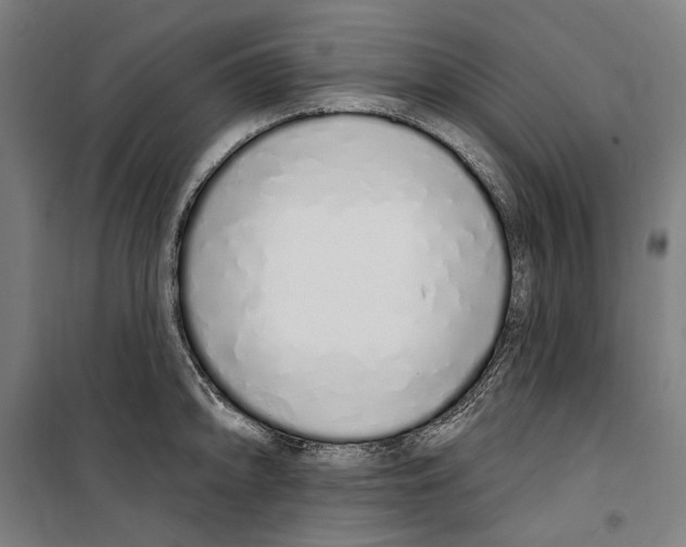 X0000099521094200806121457