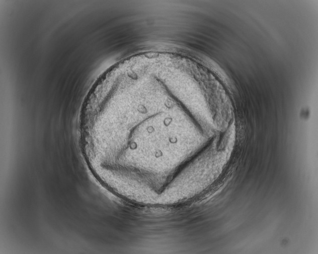 X0000099521095200806121457