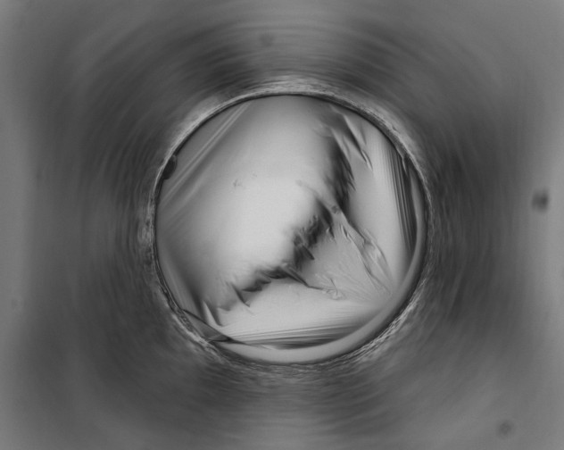 X0000099521097200806121457