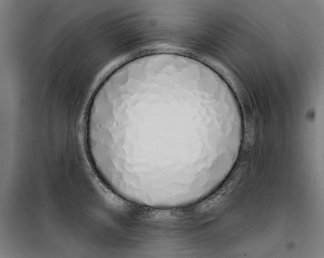 X0000099521098200806121456