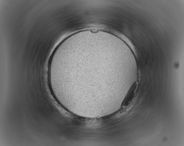 X0000099521099200806121456