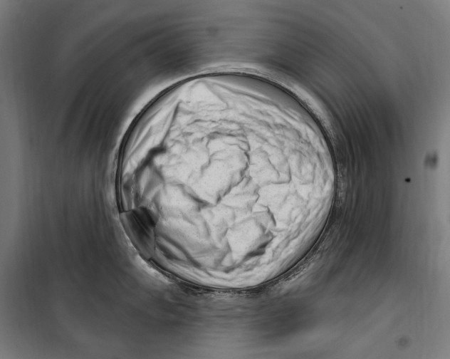 X0000099521102200806121456