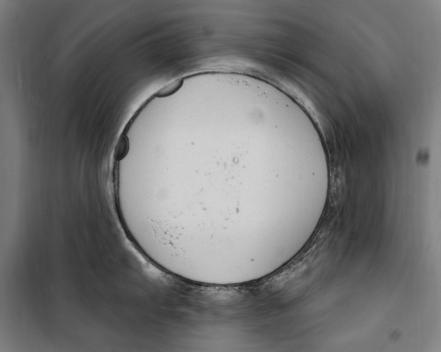 X0000099521103200806121456