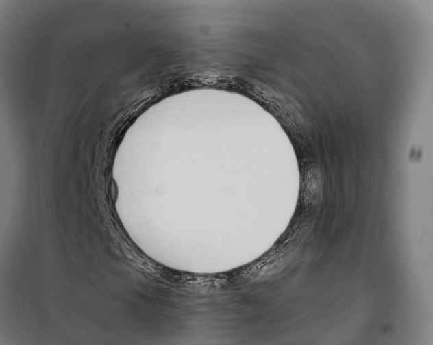 X0000099521105200806121456