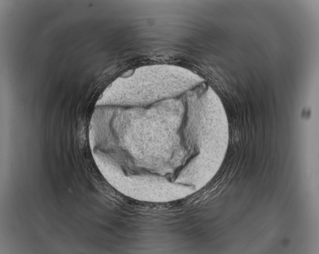 X0000099521106200806121456