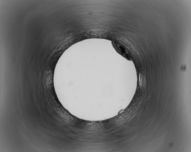 X0000099521107200806121456