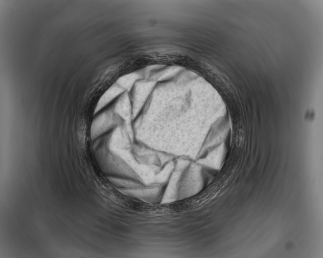 X0000099521108200806121456