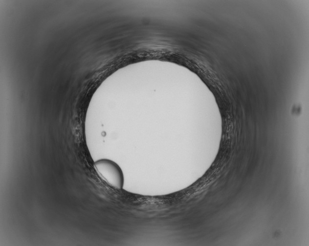 X0000099521109200806121456