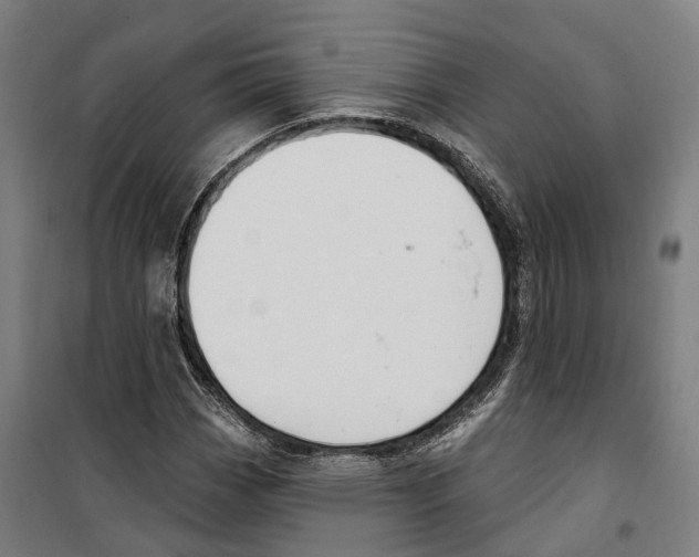 X0000099521113200806121456