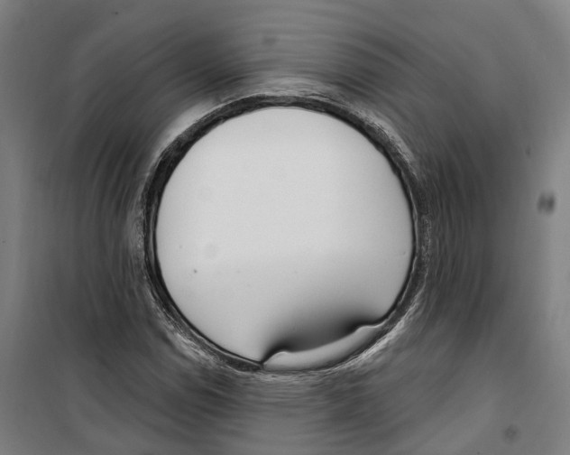 X0000099521114200806121456