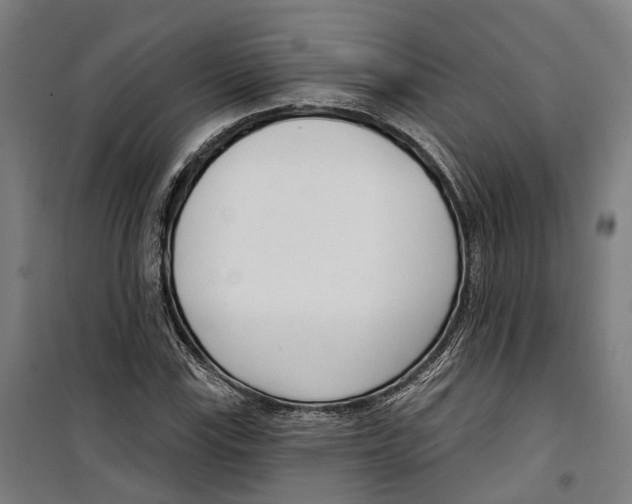 X0000099521115200806121456