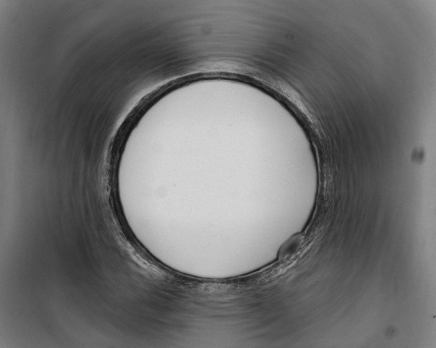 X0000099521116200806121456