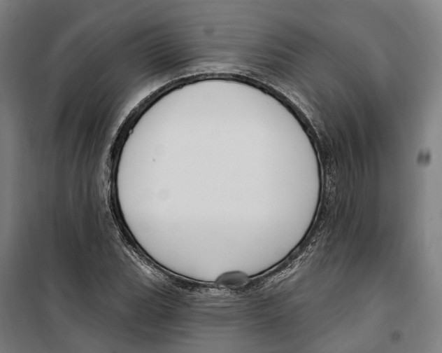 X0000099521119200806121456