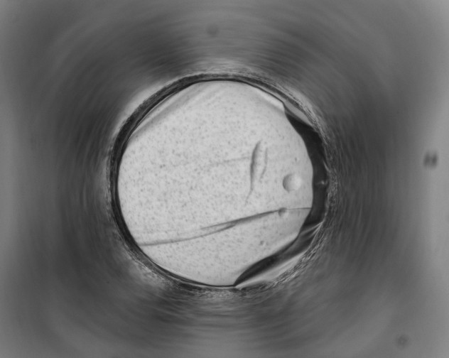 X0000099521120200806121456