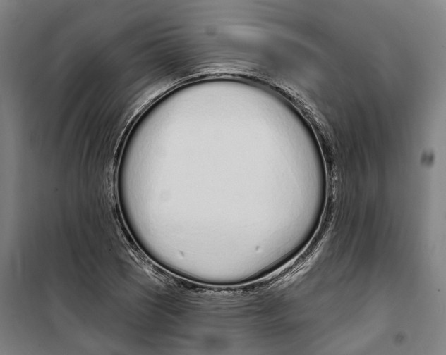 X0000099521121200806121456