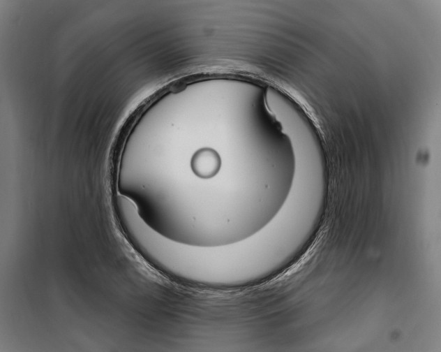 X0000099521122200806121456