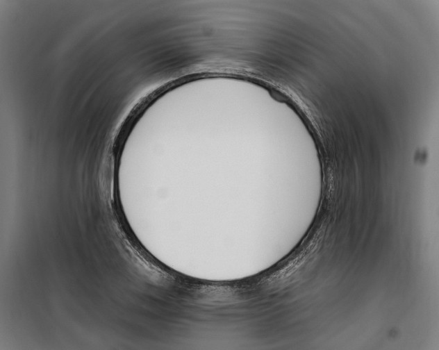 X0000099521123200806121456