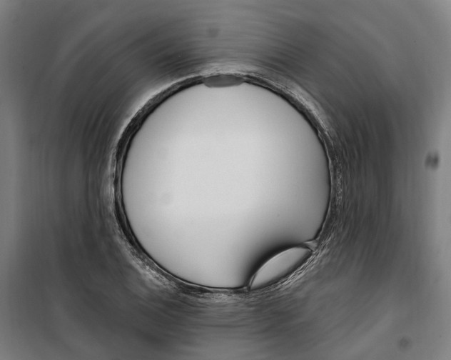 X0000099521124200806121456