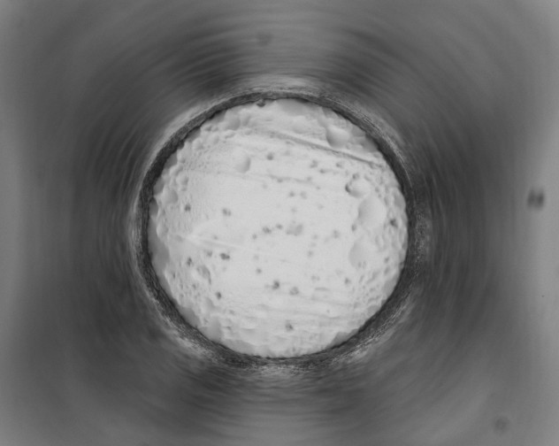 X0000099521125200806121456