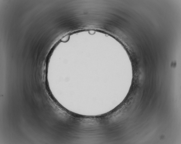 X0000099521126200806121456