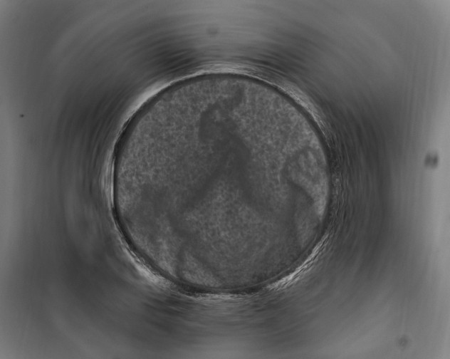 X0000099521127200806121456