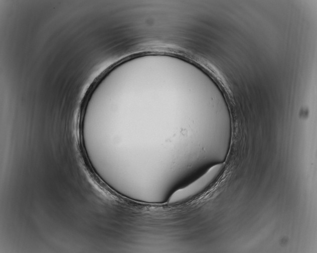 X0000099521128200806121456