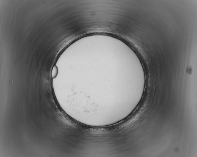 X0000099521129200806121456