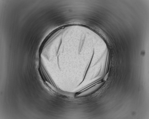 X0000099521132200806121456