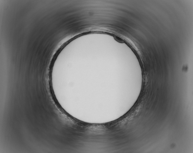 X0000099521133200806121456