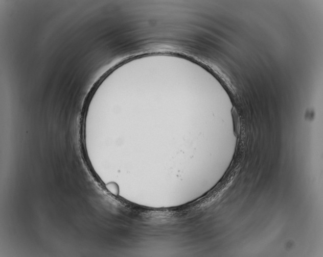 X0000099521134200806121456