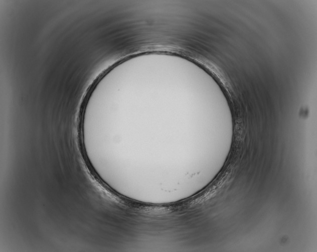 X0000099521135200806121456