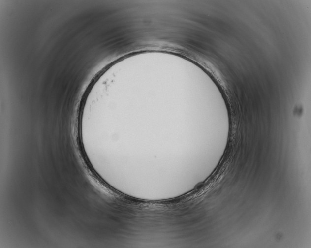 X0000099521136200806121456