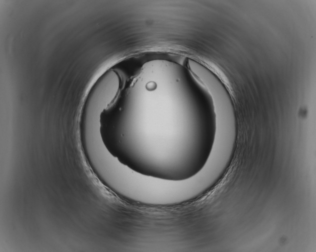 X0000099521138200806121456