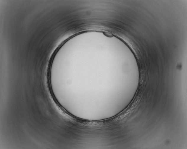 X0000099521139200806121456