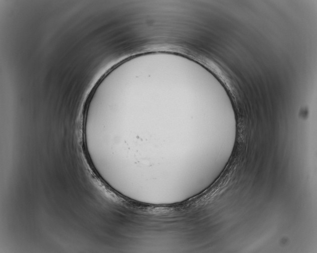 X0000099521140200806121456