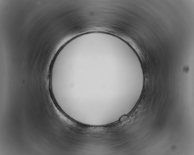 X0000099521143200806121456